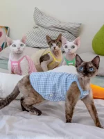 Pure Cotton Breathable Candy Plaid Camisole for Cats
