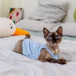 Pure Cotton Breathable Candy Plaid Camisole for Cats - Blue