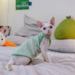 Pure Cotton Breathable Candy Plaid Camisole for Cats - Green