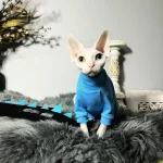 Blue Dinosaur Costumes Set for Cats