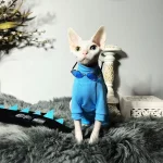 Blue Dinosaur Costumes Set for Cats