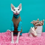 Cute Dinosaur Costumes for Sphynx