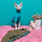 Cute Dinosaur Costumes for Sphynx