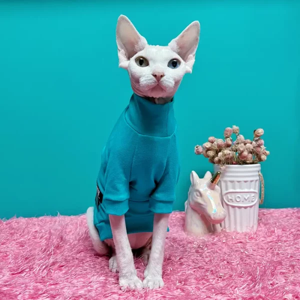 Cute Dinosaur Costumes for Sphynx