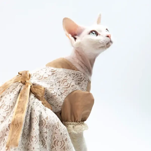 Lolita Pastoral Dresses for Cats - Khaki