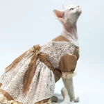 Lolita Pastoral Dresses for Cats - Khaki