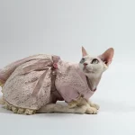 Lolita Pastoral Dresses for Cats - Pink