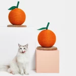 Orange Cat Scratching Ball