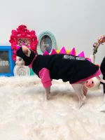 Polar Fleece Dinosaur Costumes for Sphynx Cats