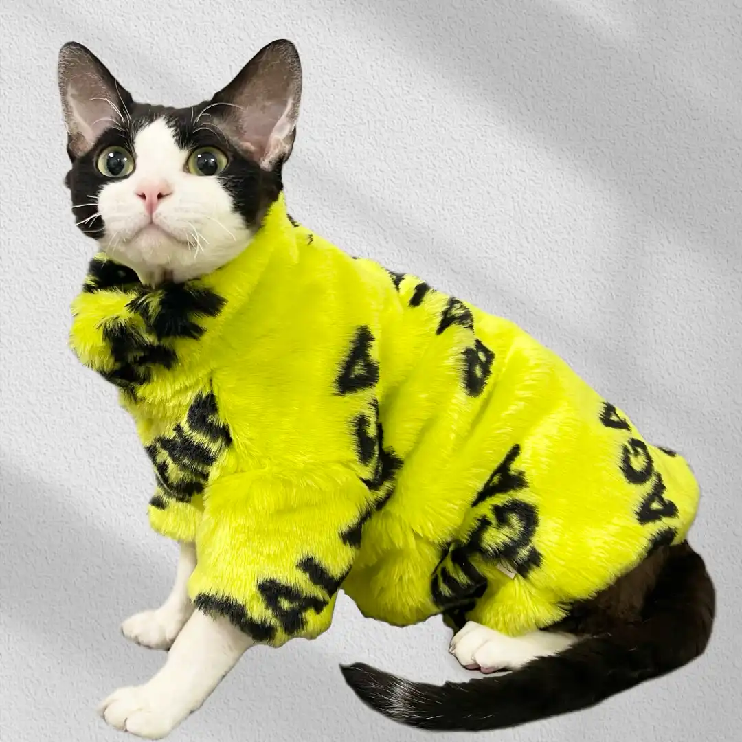 Balenciaga cat discount
