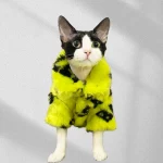 Balenciaga Fur Coat for Cats - Green
