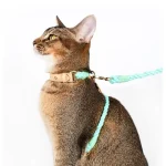 Braided Cotton Rope Cat Collar Leash