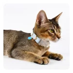 Buckle Cat Collar Customized Name Leather Collar for Cats