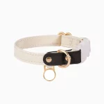 Buckle Cat Collar Customized Name Leather Collar for Cats - Black