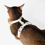 Cat Harness Leash Set Anti-breakaway Leash