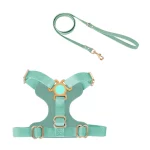 Cat Harness Leash Set Anti-breakaway Leash - Green