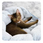 Closed Winter Warm Cat Bed Multifunctional Cat Bed