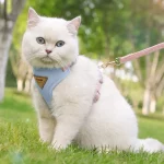 Comfort Cat Mesh Harness Leash