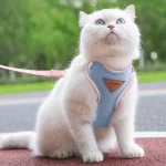 Comfort Cat Mesh Harness Leash