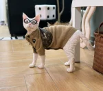 Comme des Garçons PLAY Brown Sweaters for Cats