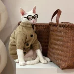 Comme des Garçons PLAY Brown Sweaters for Cats