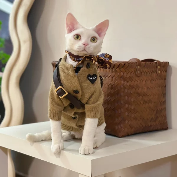 Comme des Garçons PLAY Brown Sweaters for Cats