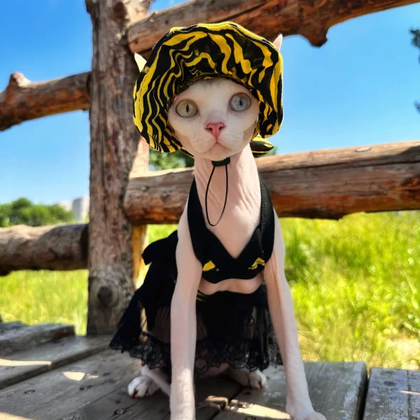 Cotton Sexy Bikinis Zebra Print Outfits for Sphynx - Girl set