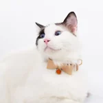 Cute Leather Bow Collar for Cats