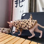 Cute Leopard Set Clothes for Cats