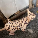 Cute Leopard Set Clothes for Cats