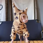 Cute Leopard Set Clothes for Cats