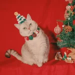 Cute Pet Christmas Ball Collar