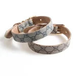 Designer Gucci Collar Leash Set for Cats