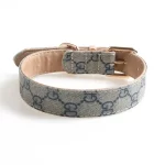 Designer Gucci Collar Leash Set for Cats