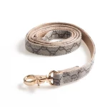 Designer Gucci Collar Leash Set for Cats