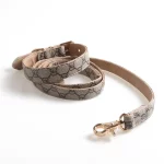 Designer Gucci Collar Leash Set for Cats - Khaki