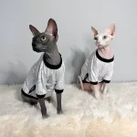 Designer Gucci Cotton Shirts for Sphynx