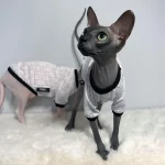 Designer Gucci Cotton Shirts for Sphynx