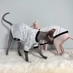 Designer Gucci Cotton Shirts for Sphynx