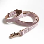 Designer Icon Print Collars Leash Set for Cats