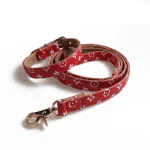 Designer Icon Print Collars Leash Set for Cats