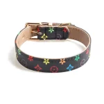 Designer Icon Print Collars Leash Set for Cats - Black