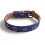 Designer Icon Print Collars Leash Set for Cats - Blue