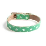 Designer Icon Print Collars Leash Set for Cats - Green