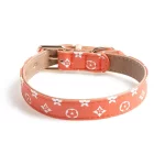 Designer Icon Print Collars Leash Set for Cats - Orange