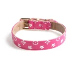 Designer Icon Print Collars Leash Set for Cats - Rose red