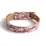 Dior Designer Leash for Cats with Collar - Red