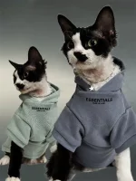 ESSENTIALS Pure Cotton Hoodies for Cats