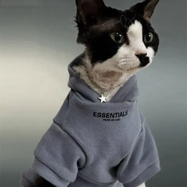 ESSENTIALS Pure Cotton Hoodies for Cats