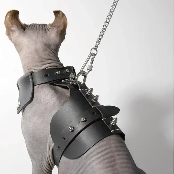 First Layer Cowhide Rivet Leash for Sphynx